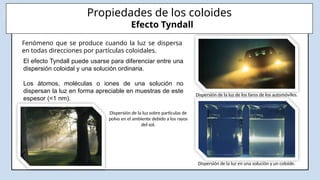 Propiedades de los coloides
El efecto Tyndall puede usarse para diferenciar entre una
dispersión coloidal y una solución ordinaria.
Los átomos, moléculas o iones de una solución no
dispersan la luz en forma apreciable en muestras de este
espesor (<1 nm).
Dispersión de la luz de los faros de los automóviles.
Fenómeno que se produce cuando la luz se dispersa
en todas direcciones por partículas coloidales.
Dispersión de la luz en una solución y un coloide.
Efecto Tyndall
Dispersión de la luz sobre particulas de
polvo en el ambiente debido a los rayos
del sol.
 