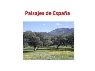 Paisajes de España 