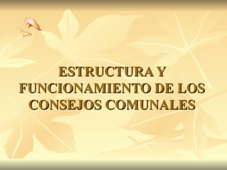ESTRUCTURA Y FUNCIONAMIENTO DE LOS CONSEJOS COMUNALES 