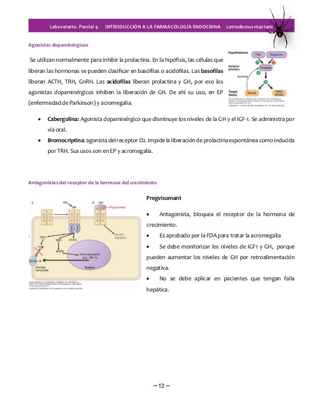Introducción al sistema endocrino Introducción al sistema endocrino