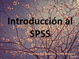 Introducción al
SPSS
Carmen Alé Palacios. HUVR Grupo 5
 