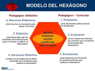 MODELO DEL HEXÁGONO  Pedagógico -Didáctico   Pedagógico -  Curricular 1. Propósitos ¿Qué desempeños deben alcanzar los estudiantes? 6. Recursos Didácticos ¿Qué recursos son necesarios para apoyar a la mente ? 2. Evaluación   ¿Cómo valorar las evidencias que muestran que una persona ha alcanzado este desempeño?  3. Enseñanzas ¿Qué estructuras de información es necesario aprender para cualificar el desempeño? 5. Didáctica ¿Qué lógica debe regir las actividades de enseñanza para guiar a la mente y cualificar  el desempeño? 4. Secuencia Didáctica ¿Cuáles son las etapas que se deben desarrollar en la enseñanza para cualificar el desempeño? MENTE HUMANA. Acción cualificada  ante el medio. 
