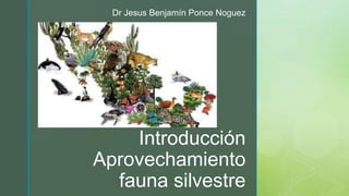 z
Introducción
Aprovechamiento
fauna silvestre
Dr Jesus Benjamín Ponce Noguez
 