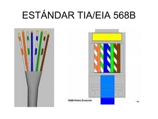 ESTÁNDAR TIA/EIA 568B

 