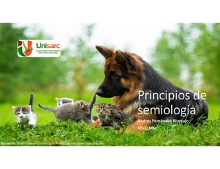 Principios de
semiología
Andrés Fernández Riomalo
MVZ, MSc
Tomado de: https://apkpure.com/es/kittens-and-cats-wallpapers/com.xlab.cats
 