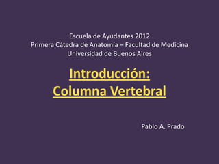 Escuela de Ayudantes 2012
Primera Cátedra de Anatomía – Facultad de Medicina
            Universidad de Buenos Aires


   ...