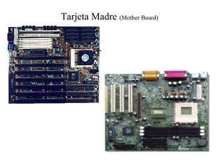Tarjeta Madre (Mother Board)
 