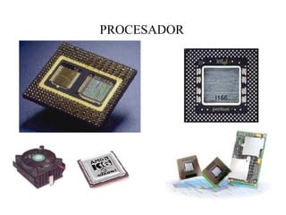 PROCESADOR
 