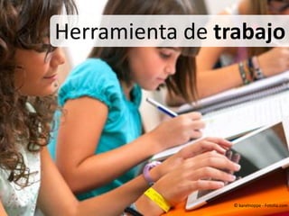 Herramienta de trabajo

© karelnoppe - Fotolia.com

 
