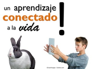 un

aprendizaje

conectado
a la

vida

© karelnoppe - Fotolia.com

 