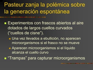 Pasteur zanja la polémica sobre la generación espontáneaExperimentos con frascos abiertos al aire dotados de largos cuellos curvados (“cuellos de cisne”).Una vez llevados a ebullición, no aparecen microorganismos si el frasco no se mueveAparecen microorganismos si el líquido alcanza el cuello curvo“Trampas” para capturar microorganismos