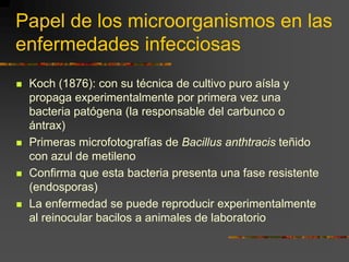 Papel de los microorganismos en las enfermedades infecciosasKoch (1876): con su técnica de cultivo puro aísla y propaga experimentalmente por primera vez una bacteria patógena (la responsable del carbunco o ántrax)Primeras microfotografías de Bacillus anthtracis teñido con azul de metilenoConfirma que esta bacteria presenta una fase resistente (endosporas)La enfermedad se puede reproducir experimentalmente al reinocular bacilos a animales de laboratorio