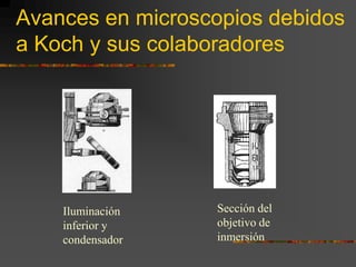 Avances en microscopios debidos a Koch y sus colaboradoresSección del objetivo de inmersiónIluminación inferior y condensador