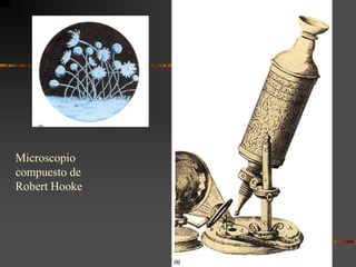 Microscopio compuesto de Robert Hooke
