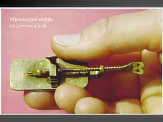 Microscopio simple de Leeuwenhoek