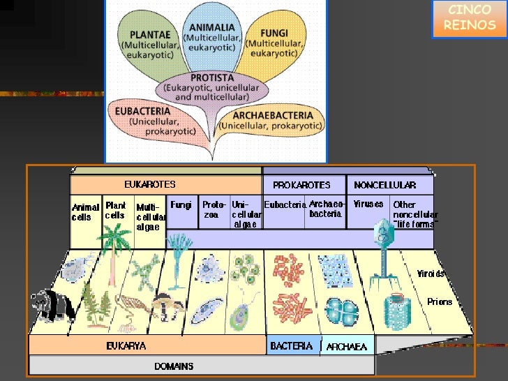 Curso de microbiologia