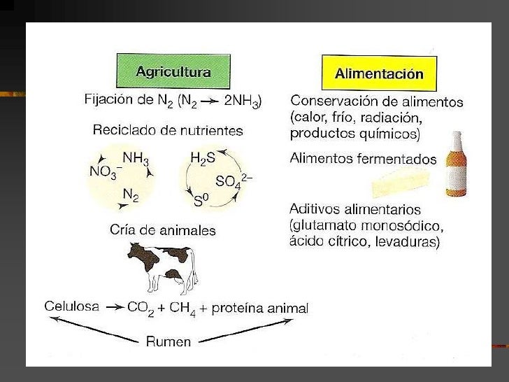 Curso de microbiologia