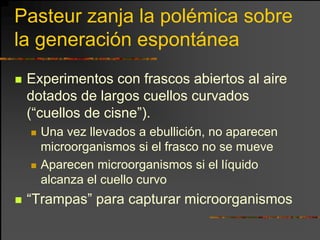 Pasteur zanja la polémica sobre
la generación espontánea
 Experimentos con frascos abiertos al aire
 dotados de largos cuellos curvados
 (“cuellos de cisne”).
   Una vez llevados a ebullición, no aparecen
   microorganismos si el frasco no se mueve
   Aparecen microorganismos si el líquido
   alcanza el cuello curvo
 “Trampas” para capturar microorganismos
 