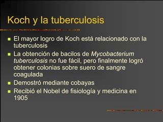 Koch y la tuberculosis
 El mayor logro de Koch está relacionado con la
 tuberculosis
 La obtención de bacilos de Mycobacterium
 tuberculosis no fue fácil, pero finalmente logró
 obtener colonias sobre suero de sangre
 coagulada
 Demostró mediante cobayas
 Recibió el Nobel de fisiología y medicina en
 1905
 