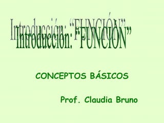 CONCEPTOS BÁSICOS Prof. Claudia Bruno Introducción: “FUNCIÓN” 