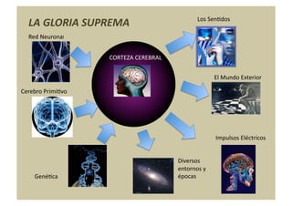 Los	
  SenNdos	
  
   LA	
  GLORIA	
  SUPREMA	
  
   Red	
  Neuronal	
  


                          CORTEZA	
  CEREBRAL	
  


                                                                        El	
  Mundo	
  Exterior	
  

Cerebro	
  PrimiNvo	
  




                                                                        	
  Impulsos	
  Eléctricos	
  


                                                    Diversos	
  
                                                    entornos	
  y	
  
      GenéNca	
                                     épocas	
  
 