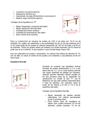  Leucaena (Leucaena glauca)
 Helequeme (Eritrina sp.)
 Guanacaste de oreja (Enterolobium cyclocarpum)
 Madero negro (Gliricidia sepium)
Ventajas de la Espaldera en "T"
 Mayor longevidad y aireación del cultivo
 Mayor exposición del área foliar
 Facilidad del control sanitario
 Facilidad de mecanización del cultivo
 Buen control de la cosecha.
Para su construcción se requiere de postes de 2.40 m de largo por 10-15 cm de
diámetro, los cuales van enterrados a una profundidad de 40 cm ya una distancia de 6
m. En cada punta de los postes se colocan travesaños de 120 cm de largo y de lO cm
de diámetro. Todos los postes deben ser tratados con aceite quemado, por lo menos la
parte que se va a enterrar, lo que ayudará a que el poste tenga mayor vida.
Una vez colocados los postes y travesaños, se colocan tres hileras de alambre N° 10,
uno de ellos va sobre el centro de los postes y los restantes a una.distancia de 60 cm
hacia fuera.
Espaldera Sencilla
Consiste en construir una espaldera vertical
formada de postes distanciados a 2 m y una
altura libre de 1,5 - 2,0 m. Este sistema permite
una mayor densidad de plantas por manzana,
además permite intercalar cultivos anuales en
los tres primeros años de su desarrollo. Su
construcción es similar al tipo "T", con la
diferencia de que este sistema solamente lleva
2 hilos de alambre, uno colocado sobre la
punta de los tutores y el otro a 1,5 m de la
superficie del suelo.
Ventajas de la Espaldera Sencilla
 Mayor densidad de plantas permite
intercalarse con cultivos permanentes
en los 3 primeros años.
 Para ambos tipos de espaldera se
deben usar: postes tensores: 25 cm de
diámetro, postes soportes: 15 cm de
 