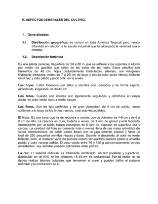 V. ASPECTOS GENERALES DEL CULTIVO.
1. Generalidades
1.1. Distribución geográfica: es común en toda América Tropical; pero menos
difundida en relación a la escala industrial que ha alcanzado la variedad roja o
morada.
1.2. Descripción botánica
Es una planta perenne, trepadora de 50 a 80 m, que se adhiere a los soportes o tutores
por medio de zarcillos que salen de las axilas de las hojas. Estos zarcillos son
filamentos de 40 cm, hojas profundamente trilobuladas, alternas, con márgenes
finamente dentados, miden de 7 a 20 cm de largo y son de color verde intenso, brillante
en el haz y más pálido y poco brillo en el envés.
Las hojas. Están formados por tallos y zarcillos son redondos y de forma espiral,
alcanzando longitudes de 30-40 cm.
Los tallos. Cuando son jóvenes son ligeramente angulados y cilíndricos en etapa
adulta de color verde claro a verde oscuro.
Las flores. Son de tipo perfectas y de gran vistosidad, de 5 cm de ancho; nacen
solitarias a lo largo de los brotes nuevos, casi auto-fecundables.
El fruto. Es una baya que va de redonda a ovoide, con un diámetro de 4-8 cm y de 6 a
8 cm de alto. La cáscara es dura, tostada a veces, de 3 mm de grosor y está tapizada
internamente por un tejido blanco esponjoso de 6 mm de espesor, de superficie lisa y
cerosa. La cavidad del fruto se presenta más o menos llena de una masa aromática de
sacos membranosos, de doble pared, llenos con un jugo amarillo espeso y hasta un
total de 250 pequeñas semillas negras y duras. Durante el desarrollo, el color es verde
brillante, pero, al madurar varía de púrpura oscuro con puntitos blancos pálido a amarillo
pálido y color naranja pálido. El peso oscila entre 70 y 150 g aproximadamente verdes
amarillentos, sus semillas pueden polinizarse entre parras.
La raíz. El sistema radicular es totalmente ramificado, sin raíz pivotante y superficial,
distribuido en un 90% en los primeros 15-45 cm de profundidad. Por tal razón, no se
deben realizar labores culturales que remuevan el suelo y puedan dañar el sistema
radicular y la producción en sí
 