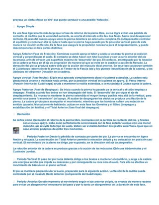 provoca un cierto efecto de 'tiro' que puede conducir a una posible 'flotación'.
 Apoyo Simple
Es una fase ligeramente más larga que la fase de retorno de la pierna libre, así se logra evitar una pérdida de
contacto. A medida que la velocidad aumenta, se acorta el intervalo entre las dos fases, hasta casi desaparecer
del todo. El peso del cuerpo apoya sobre la pierna delantera en extensión completa. Es indispensable controlar
el equilibrio y conservar alta la cadera hasta que la pierna haya pasado por la posición vertical, para de esta
manera no incurrir en flexión. Es la fase que asegura la propulsión necesaria para el desplazamiento, y puede
descomponerse en tres partes distintas:
Apoyo Anterior (Fase de Tracción): Comienza cuando apoya el talón y acaba al alcanzar la pierna la posición
vertical y perpendicular al suelo. El contacto se debe hacer con total suavidad y con la parte anterior del pie
levantada, a fin de ofrecer una superficie máxima de 'desarrollo' del pie. El contacto, amortiguado por la rotación
de la cadera se hace en el eje de progresión de manera tal que se evite en lo posible la acción de frenado. La
elevación del pie se produce sobre todo por la acción del músculo tibial anterior. En esta fase colaboran también
el Cuádriceps (extensión de la pierna), el Tensor de la Fascia lata y los glúteos (estabilización de la cadera), y los
Oblicuos del Abdomen (rotación de la cadera).
Apoyo Vertical (Fase Neutra): El pie está apoyado completamente plano y la pierna extendida. La cadera está
girada hacia delante e inclinada hacia arriba, por la posición vertical de la pierna de apoyo. El Vasto interno
(Porción interna del Cuádriceps) ayuda a mantener la rodilla extendida, y la musculatura Glútea sujeta la cadera.
Apoyo Posterior (Fase de Despegue): Se inicia cuando la pierna ha pasado ya la vertical y el talón empieza a
despegar. Finaliza cuando los dedos se han despegado del todo. El 'desarrollo' del pie sigue el eje de
desplazamiento. Es necesario mantener la pierna extendida el mayor tiempo posible más allá de la vertical, para
permitir una buena 'transmisión' del apoyo. Al acabar de despegarse los dedos se produce una flexión de la
pierna. La cadera pivota para acompañar el movimiento, mientras que los hombros sufren una rotación en
sentido opuesto. Muscularmente hablando, actúan en esta fase los Gemelos y el Sóleo (despegue y
estabilización del tobillo), y el Tibial Anterior (fase final del despegue).
 Oscilación
Se define como Oscilación el retorno de la pierna libre. Comienza con la pérdida de contacto del pie, y finaliza
con el nuevo apoyo. Debe estar perfectamente sincronizada con la fase anterior aunque con una menor
duración, así se evita todo tipo de vuelo. Deben ser evitados también los gestos supérfluos. Igual que en
caso anterior podemos describir tres momentos.
 Período Posterior: Desde la pérdida de contacto por parte del pie. La pierna se encuentra en ligera
flexión y relajada. La contracción del Tibial Anterior permite la elevación del pie y su colocación en posición casi
vertical. El movimiento de la pierna se dirige, por supuesto, en la dirección del eje de progresión.
La rotación anterior de la cadera se produce gracias a la acción de los músculos Oblicuos Abdominales y el
Cuadrado Lumbar.
 Período Vertical: El paso del pie hacia delante obliga a los brazos a mantener el equilibrio, y exige a la cadera
una enérgica acción que impide su descenso y por consiguiente su roce con el suelo. Para ello se efectúa un
movimiento de báscula en el plano vertical.
El pie se mantiene perpendicular al suelo, preparado para la siguiente acción. La flexión de la rodilla queda
controlada por el músculo Recto Anterior (componente del Cuádriceps).
 Período Anterior: En este momento el movimiento según el eje anterior del pie, se efectúa de manera rasante
para evitar un alargamiento innecesario del paso y por lo tanto un alargamiento de la duración de esta fase,

 