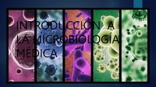 INTRODUCCIÓN A
LA MICROBIOLOGÍA
MÉDICA
 