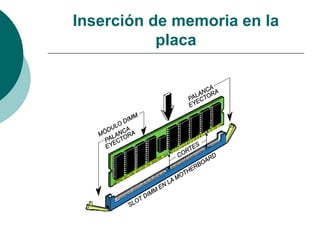 Inserción de memoria en la 
placa 
 