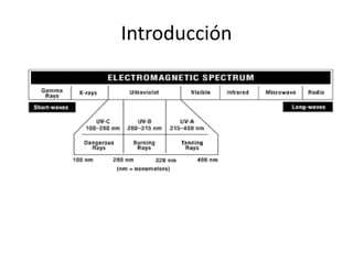 Introducción
 
