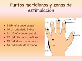Puntos meridianos y zonas de 
estimulación 
 9 UP uña dedo pulgar 
 10 UI uña dedo índice 
 11 UC uña dedo central 
 12 UM uña dedo meñique 
 13 DM dorso de la mano 
 14 BM borde de la mano 
 