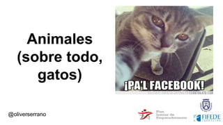 @oliverserrano
Animales
(sobre todo,
gatos)
 