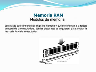 Memoria RAM
                       Módulos de memoria
Son placas que contienen los chips de memoria y que se conectan a la tarjeta
principal de la computadora. Son las piezas que se adquieren, para ampliar la
memoria RAM del computador.
 