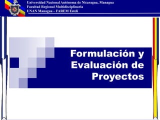 Universidad Nacional Autónoma de Nicaragua, Managua
Facultad Regional Multidisciplinaria
UNAN Managua – FAREM Estelí
MÁSTER SERGIO NAVARRO HUDIEL
CURSO DE EXCEL AVANZADO
Formulación y
Evaluación de
Proyectos
 