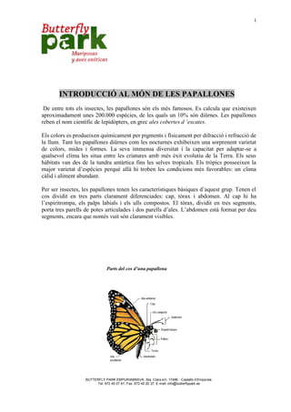 1




       INTRODUCCIÓ AL MÓN DE LES PAPALLONES
 De entre tots els insectes, les papallones són els més famosos. Es calcula que existeixen
aproximadament unes 200.000 espècies, de les quals un 10% són diürnes. Les papallones
reben el nom científic de lepidòpters, en grec ales cobertes d ‘escates.

Els colors es produeixen químicament per pigments i físicament per difracció i refracció de
la llum. Tant les papallones diürnes com les nocturnes exhibeixen una sorprenent varietat
de colors, mides i formes. La seva immensa diversitat i la capacitat per adaptar-se a
qualsevol clima les situa entre les criatures amb més èxit evolutiu de la Terra. Els seus
hàbitats van des de la tundra antàrtica fins les selves tropicals. Els tròpics posseeixen la
major varietat d’espècies perquè allà hi troben les condicions més favorables: un clima
càlid i aliment abundant.

Per ser insectes, les papallones tenen les característiques bàsiques d’aquest grup. Tenen el
cos dividit en tres parts clarament diferenciades: cap, tòrax i abdomen. Al cap hi ha
l’espiritrompa, els palps labials i els ulls compostos. El tòrax, dividit en tres segments,
porta tres parells de potes articulades i dos parells d’ales. L’abdomen està format per deu
segments, encara que només vuit són clarament visibles.




                              Parts del cos d’una papallona




                  BUTTERFLY PARK EMPURIABRAVA. Sta. Clara s/n. 17486 - Castelló d’Empúries.
                        Tel. 972 45 07 61. Fax. 972 45 20 37. E-mail: info@butterflypark.es
 