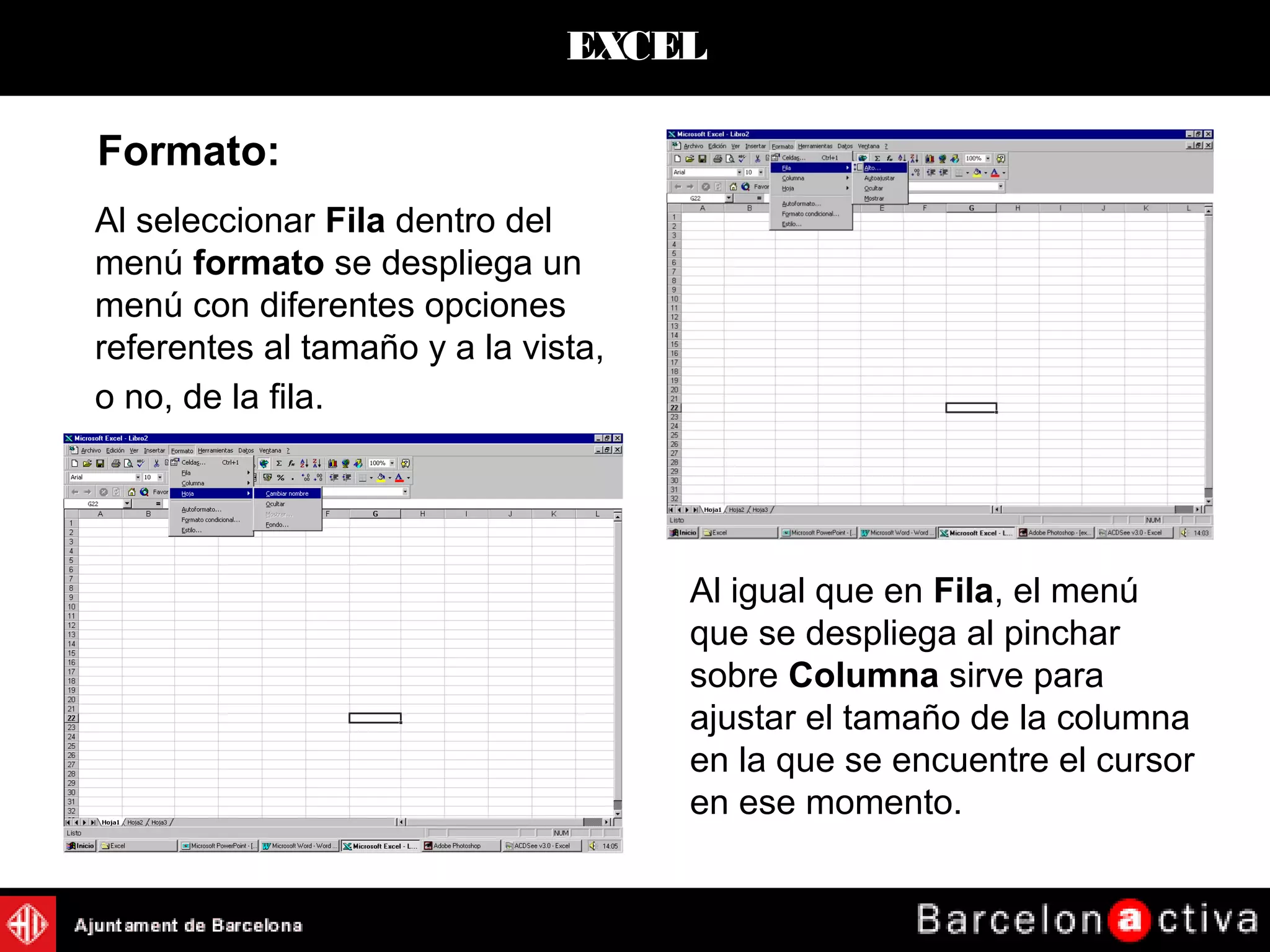EXCEL
Al seleccionar Fila dentro del
menú formato se despliega un
menú con diferentes opciones
referentes al tamaño y a la vista,
o no, de la fila.
Formato:
Al igual que en Fila, el menú
que se despliega al pinchar
sobre Columna sirve para
ajustar el tamaño de la columna
en la que se encuentre el cursor
en ese momento.
 