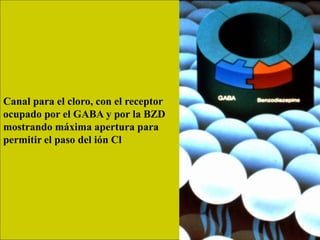 Canal para el cloro, con el receptor
ocupado por el GABA y por la BZD
mostrando máxima apertura para
permitir el paso del ión Cl
 
