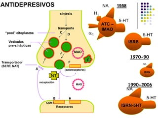 Transportador
(SERT, NAT)
síntesis
(autoreceptores)A
MAO
MAO
transporte
C
D“pool” citoplasma
Vesículas
pre-sinápticas
J
F
E
recaptación
Receptores
G H
COMT
ATC –
IMAO
NA 1958
5-HT
H1
α1
ISRS
5-HT
1970-90
1990-2006
ISRN
NA
ISRN-5HT
NA
5-HT
NT
ANTIDEPRESIVOS
 