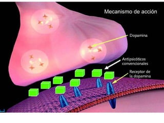Mecanismo de acción
 
