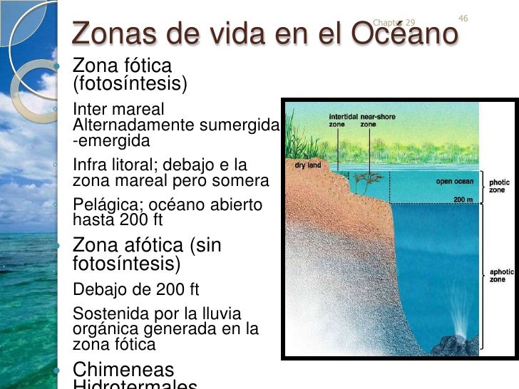 Introduccion Ecología Marina