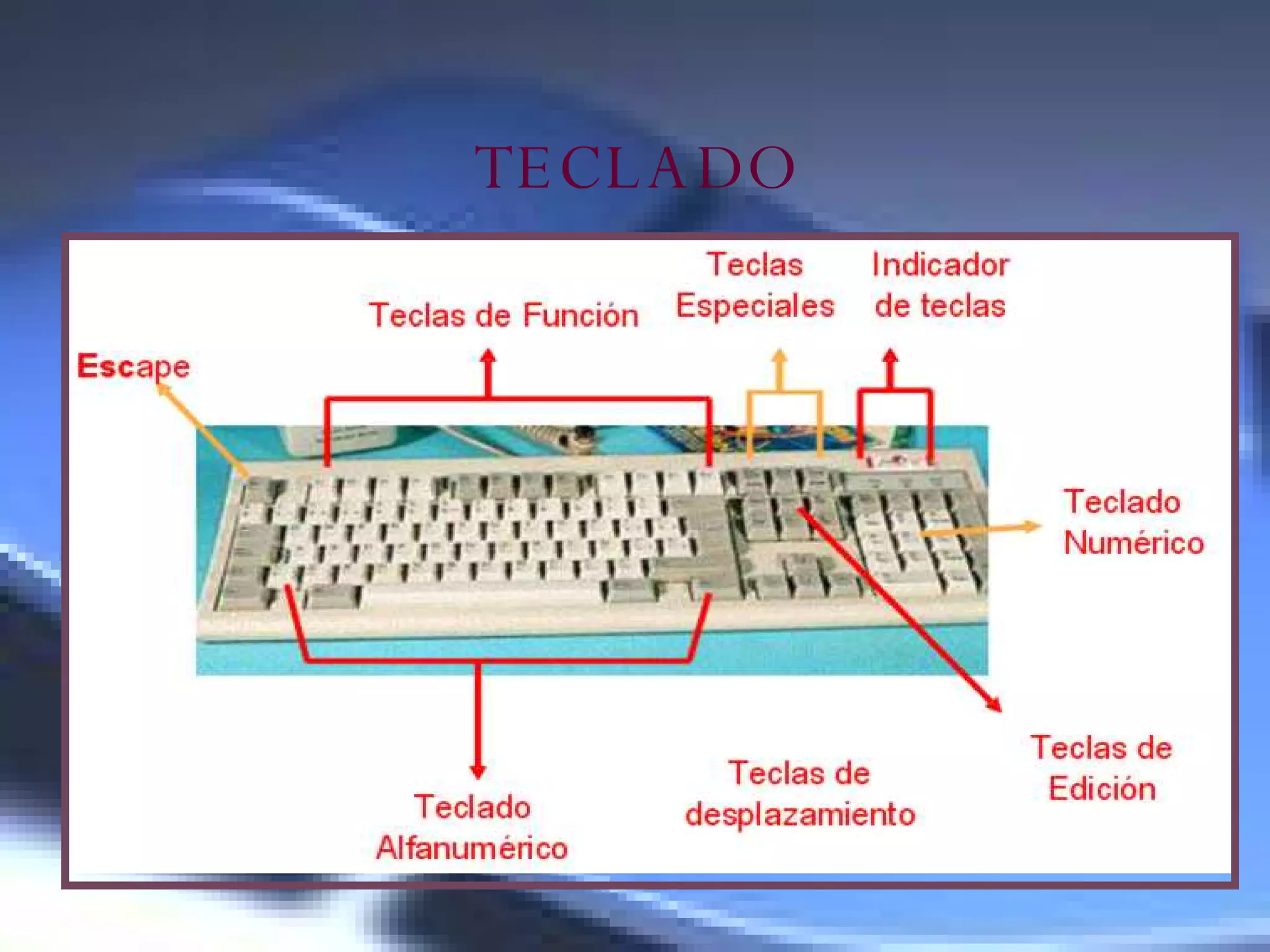 TECLADO 