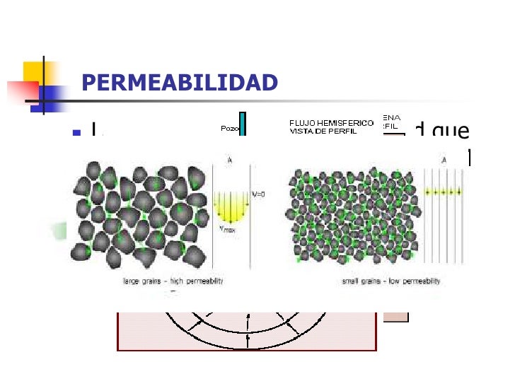Que Es Permeabilidad