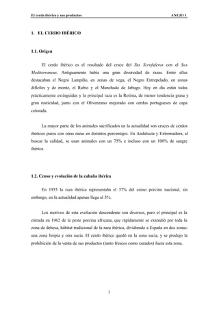 El cerdo ibérico y sus productos                                               ANEJO I




1. EL CERDO IBÉRICO



1.1. Origen


      El cerdo ibérico es el resultado del cruce del Sus Scrofaferus con el Sus
Mediterraneus. Antiguamente había una gran diversidad de razas. Entre ellas
destacaban el Negro Lampiño, en zonas de vega, el Negro Entrepelado, en zonas
difíciles y de monte, el Rubio y el Manchado de Jabugo. Hoy en día están todas
prácticamente extinguidas y la principal raza es la Retinta, de menor tendencia grasa y
gran rusticidad, junto con el Olivenzano mejorado con cerdos portugueses de capa
colorada.


      La mayor parte de los animales sacrificados en la actualidad son cruces de cerdos
ibéricos puros con otras razas en distintos porcentajes. En Andalucía y Extremadura, al
buscar la calidad, se usan animales con un 75% e incluso con un 100% de sangre
ibérica.




1.2. Censo y evolución de la cabaña ibérica


      En 1955 la raza ibérica representaba el 37% del censo porcino nacional, sin
embargo, en la actualidad apenas llega al 5%.


      Los motivos de esta evolución descendente son diversos, pero el principal es la
entrada en 1962 de la peste porcina africana, que rápidamente se extendió por toda la
zona de dehesa, hábitat tradicional de la raza ibérica, dividiendo a España en dos zonas:
una zona limpia y otra sucia. El cerdo ibérico quedó en la zona sucia, y se produjo la
prohibición de la venta de sus productos (tanto frescos como curados) fuera esta zona.




                                           1
 