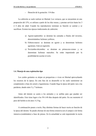 El cerdo ibérico y sus productos                                                ANEJO I


                -   Duración de la gestación: 114 días


      La cubrición se suele realizar en libertad. Los verracos, que se encuentran en una
proporción del 15%, se utilizan a partir de los diez meses, y prestan servicio hasta los 3
ó 4 años de edad. Cuando los reproductores terminan su función se castran y se
sacrifican. Existen tres épocas tradicionales de cubrición:


                a) Agosto-septiembre: se destetan las camadas a finales del invierno,
                    denominándose lechones yerbizos.
                b) Febrero-marzo: se destetan en agosto y se denominan lechones
                    agostones. Está en regresión.
                c) Noviembre-diciembre: se destetan en primavera-verano y se
                    denominan lechones marceños. Se están imponiendo por la
                    posibilidad de acortar el ciclo.




1.4. Manejo de una explotación tipo


      Los cerdos gestantes se alojan en porquerizas o viven en libertad aprovechando
los recursos de la época. En esta fase de su desarrollo se les suele suministrar un
complemento a base de cereal y leguminosas. Cuando llega la época del parto van a las
parideras, dando entre 5 y 7 lechones.


      Antes del destete se castra a los animales y se anillan para que puedan ser
identificados. Esto tiene lugar a los 50 ó 60 días después del parto. En ese momento el
peso del lechón es de unos 11,5 kg.


      A continuación pasan a recría. Hay distintas formas de hacer recría en función de
la época del destete. Se puede efectuar de una forma extensiva (en el campo) o de forma
intensiva (estabulados) a base de pienso. En la actualidad se está imponiendo la recría




                                              3
 
