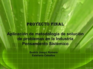 Proyecto final

Aplicación de metodología de solución
     de problemas en la Industria
       Pensamiento Sistémico

          Beatriz Joaqui Romero
           Estefanía Ceballos
 