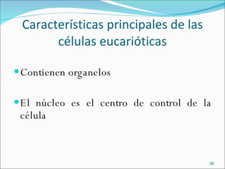 Características principales de las células eucarióticas Contienen organelos El núcleo es el centro de control de la célula 
