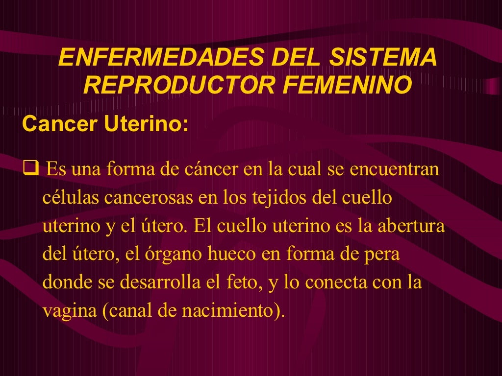 Sistema Reproductor Masculino Y Femenino Scie112