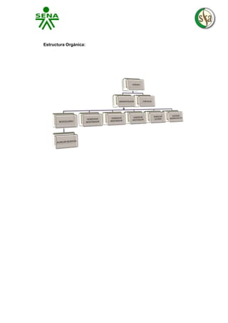 Estructura Orgánica:

 