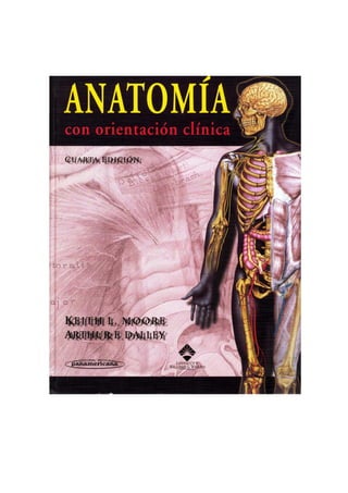 Introducción a la anatomía Clinica